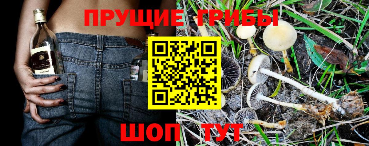 Галлюциногенные грибы мухоморы Севастополь